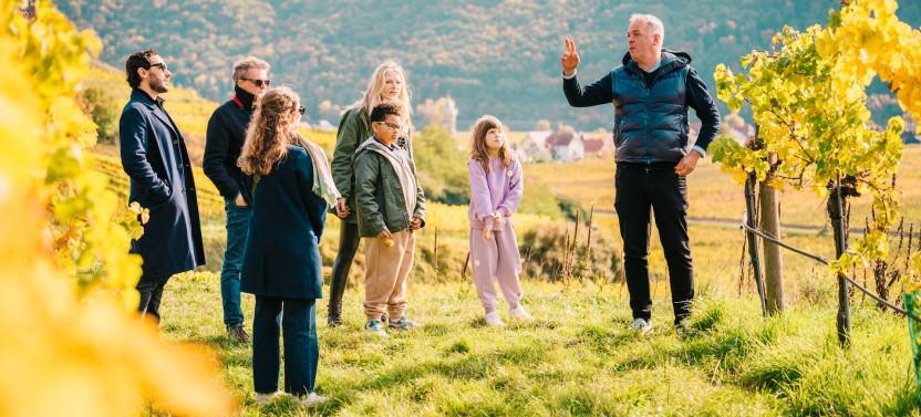Private Luxury Wachau Valley Wine Tour: Tasting 8-10 Wines & Gourmet Lunch
