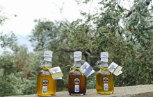 Avalon Travel Services7