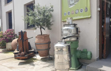 Avalon Travel Services8