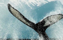 Juneau Lighthouse Tours7