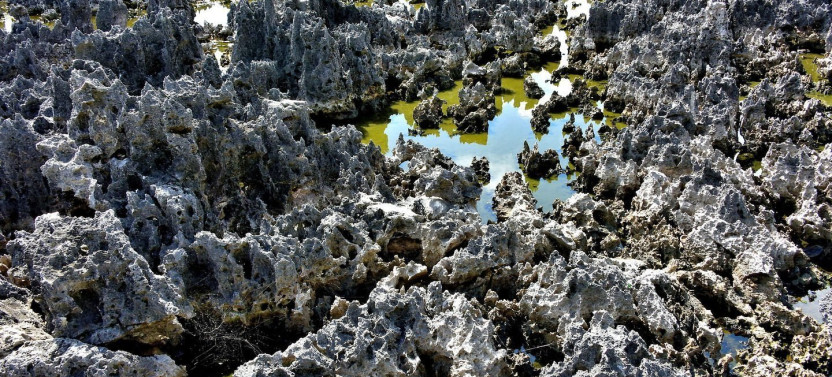 Full Grand Cayman Island Tour