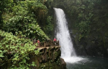 Greenway Nature Tours3227