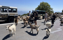 GOCRETESAFARI KAI SIA EE5