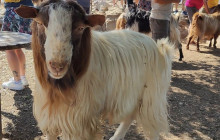 GOCRETESAFARI KAI SIA EE9