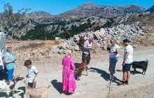 GOCRETESAFARI KAI SIA EE6