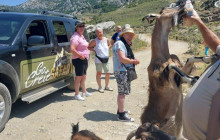 GOCRETESAFARI KAI SIA EE6