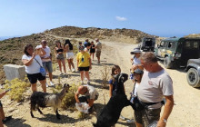 GOCRETESAFARI KAI SIA EE11