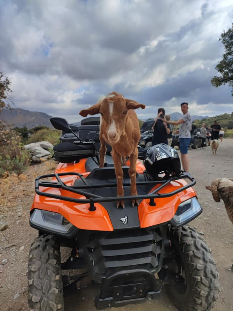 Morning Quad Safari with Olive Mill, Monastery & Beach in Crete