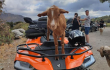 GOCRETESAFARI KAI SIA EE1