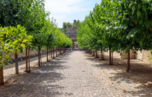 OohProvence13