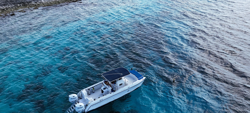 Bonaire Snorkeling Tour By Speedboat With 2 Stops