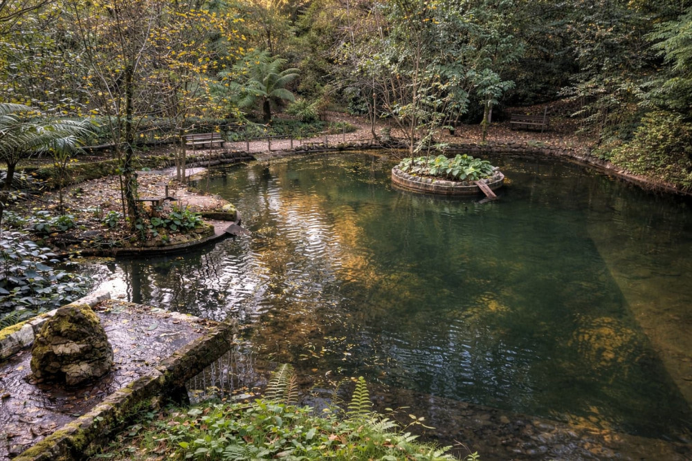 Gold Coast (Australia)
