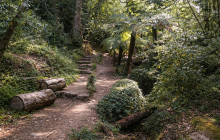 Endless Weekend Tours14