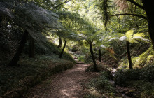 Endless Weekend Tours15