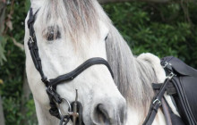 Taste The Experience4