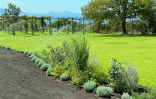 Taste The Experience8