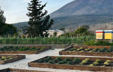 Taste The Experience9