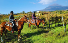 Taste The Experience1