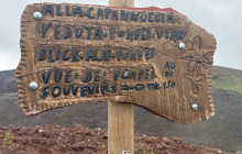 Taste The Experience3