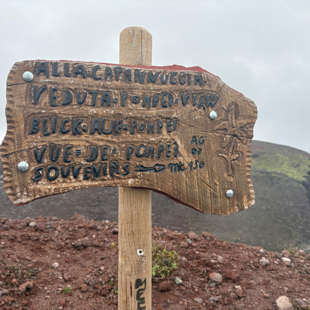 Taste The Experience