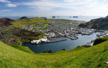 Your Friend in Reykjavik1