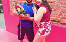 Edwin Transfers Tours9