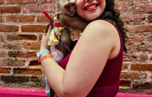 Edwin Transfers Tours11