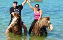 Edwin Transfers Tours9