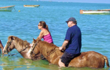 Edwin Transfers Tours11