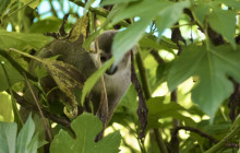 Edwin Transfers Tours14