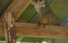 Edwin Transfers Tours15