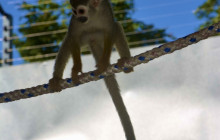 Edwin Transfers Tours16