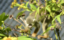 Edwin Transfers Tours17