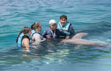 Dolphin Discovery6