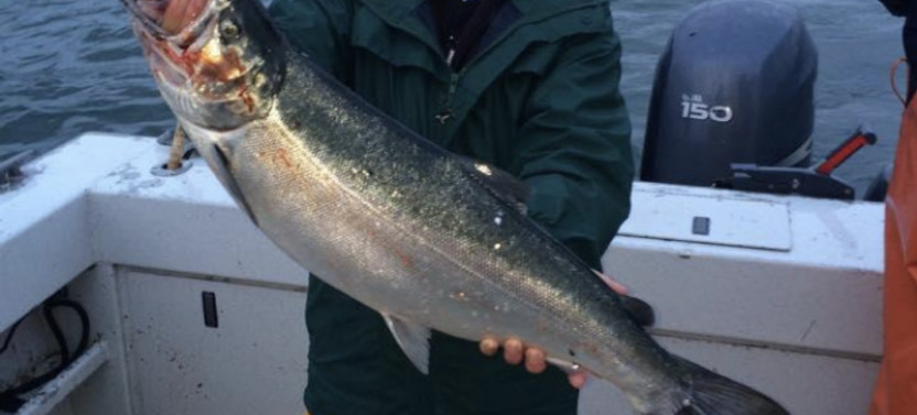 Private Charter: Salmon Fishing in Juneau