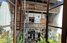 The Best Day Tours556