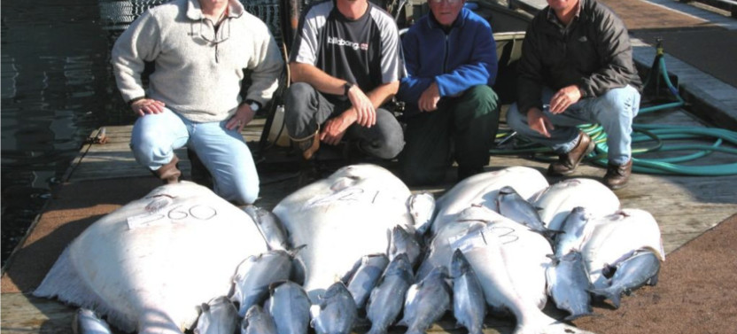 Private Charter: Halibut Fishing in Juneau