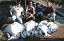 Juneau Charters, LLC13