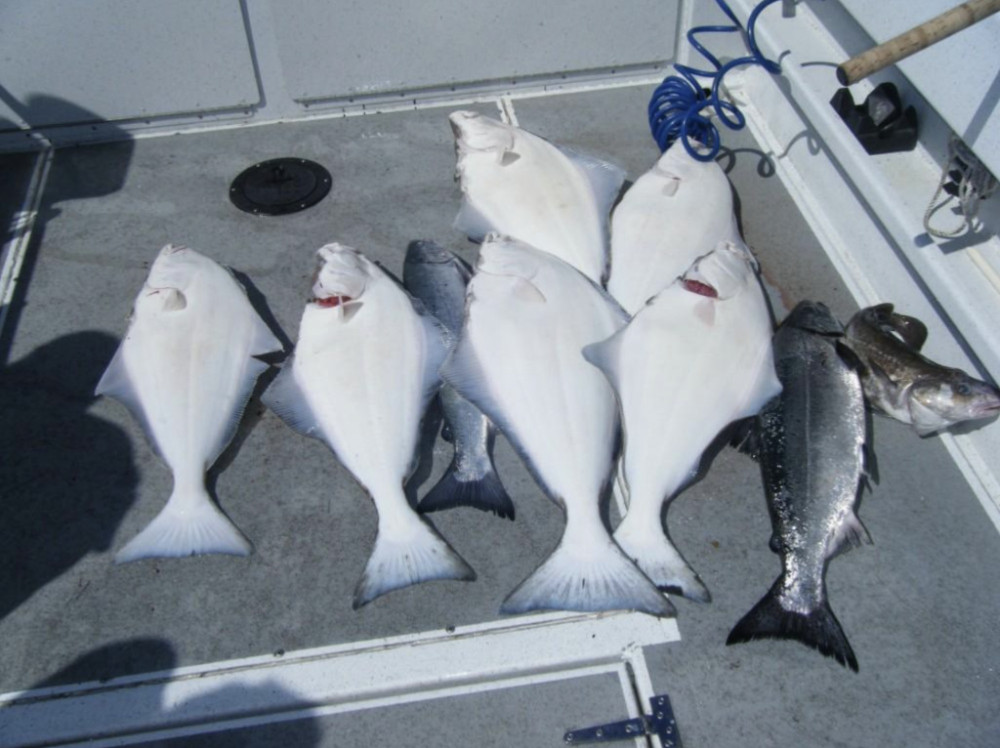 Juneau Charters, LLC