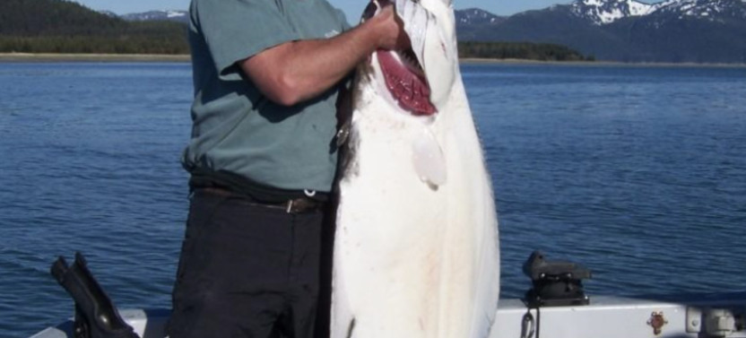Private Charter: Salmon, Halibut, and Whale Watching Combo