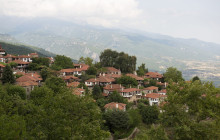 Avalon Travel Services8