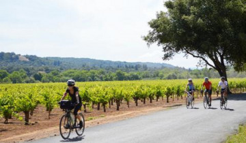 A picture of Small Group Cycle Sonoma & The Napa Valley - 6D/5N
