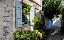 GS Tours Chania Ltd6