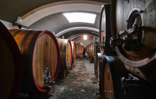 Cantina Del Vesuvio Winery3