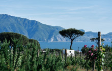 Cantina Del Vesuvio Winery6