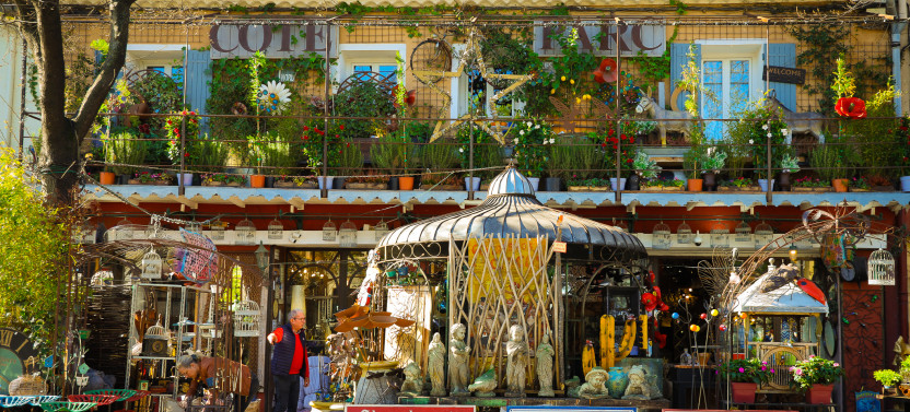 Avignon, Palais des Papes, Provençal food market & L'Isle sur la So,country France