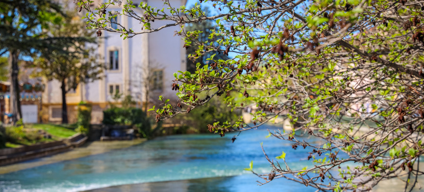 Avignon, Palais des Papes, Provençal food market & L'Isle sur la So,country France