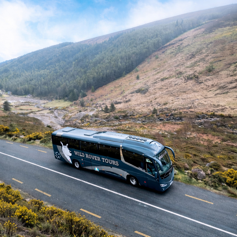 Kilkenny City, Wicklow Mountains & Glendalough Day Tour from Dublin