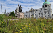 Grampian Escapes and Tours4