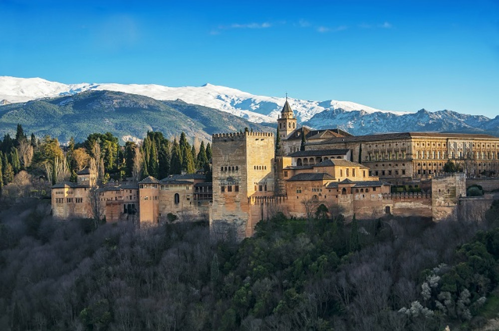 Private Granada Highlights Tour with Official Guide